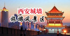 男生女生插插直入网站中国陕西-西安城墙旅游风景区