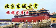 美女白丝喷水亚洲插逼中国北京-东城古宫旅游风景区
